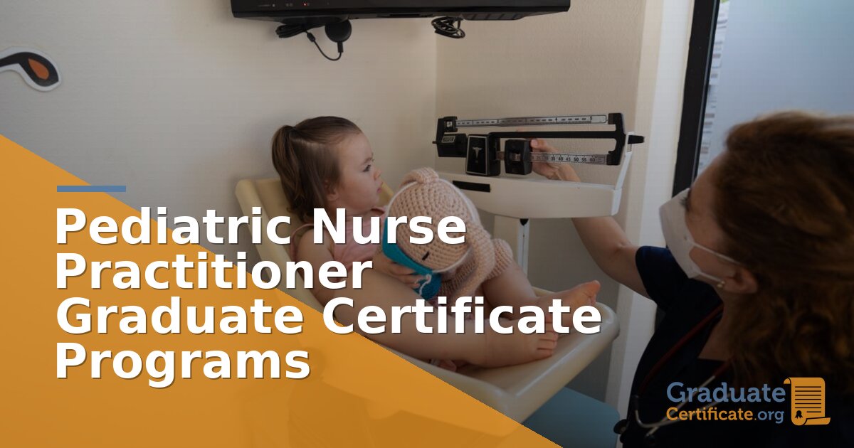 Post-Master’s PNP Certificate Programs Online (2027)